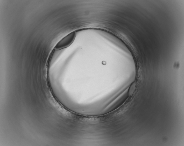 X0000113200900200910011253