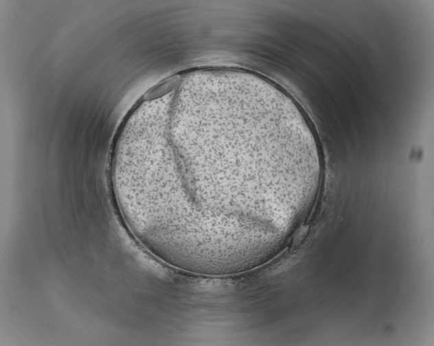 X0000113200901200910011253