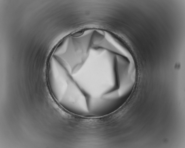 X0000113200902200910011253