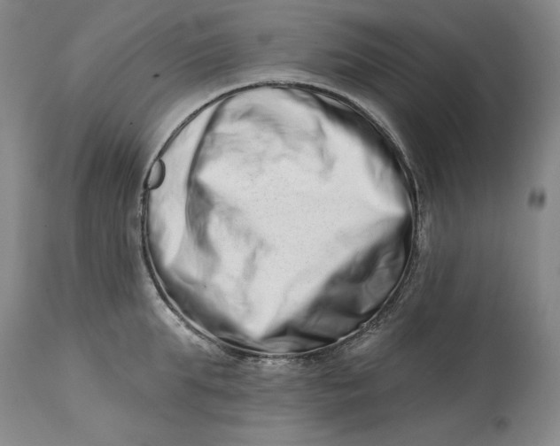 X0000113200903200910011253