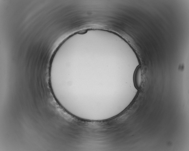 X0000113200904200910011253