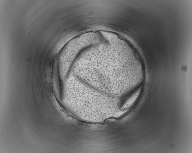 X0000113200905200910011253