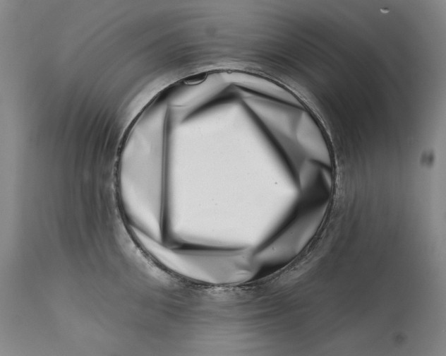 X0000113200906200910011253