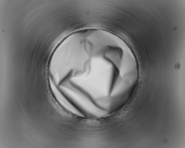 X0000113200907200910011253