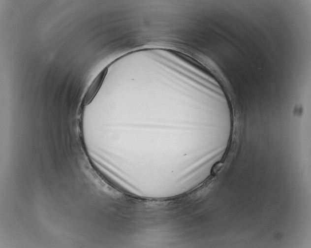 X0000113200908200910011253