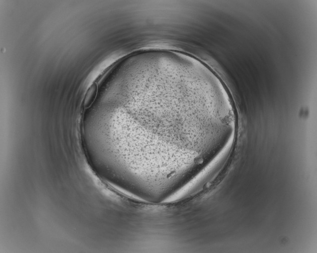 X0000113200909200910011253