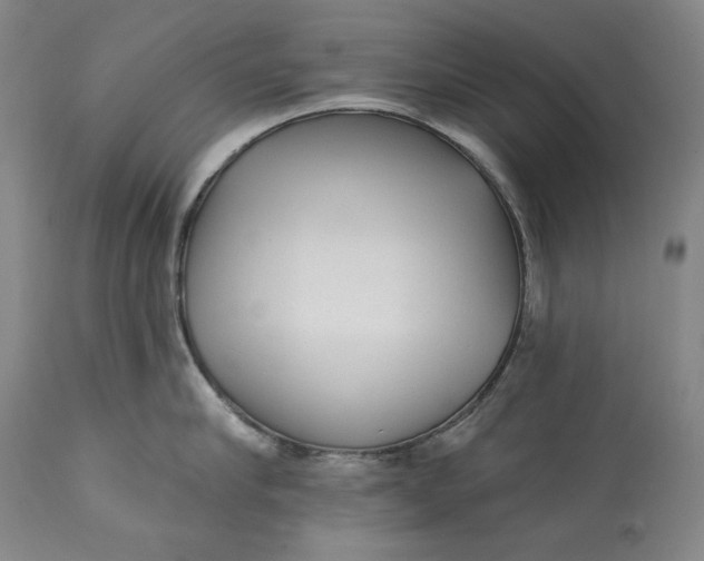 X0000113200910200910011253