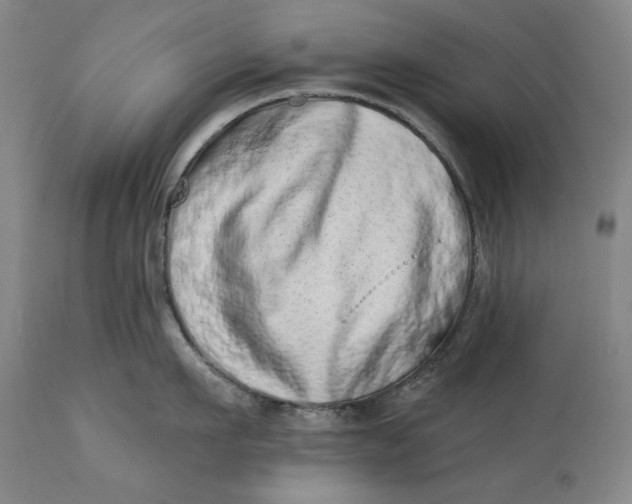 X0000113200911200910011253