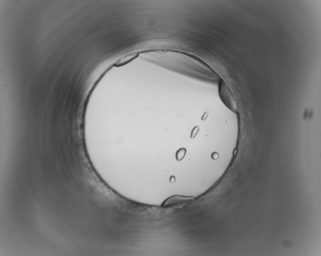 X0000113200912200910011253