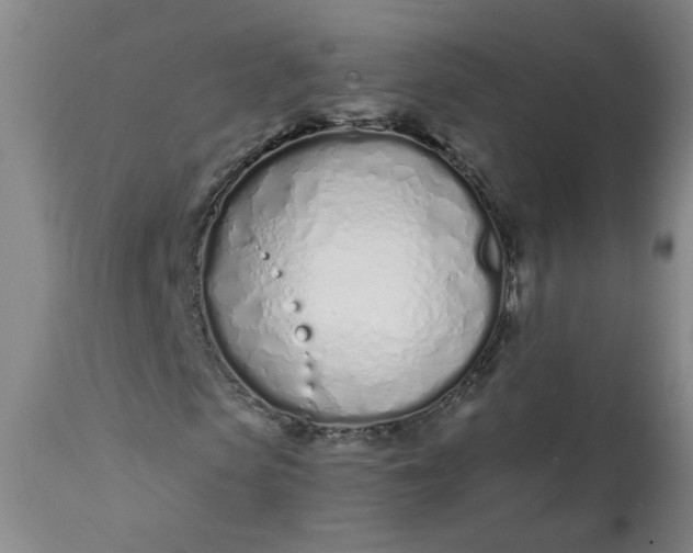 X0000113200913200910011252