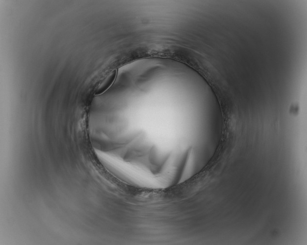 X0000113200914200910011252