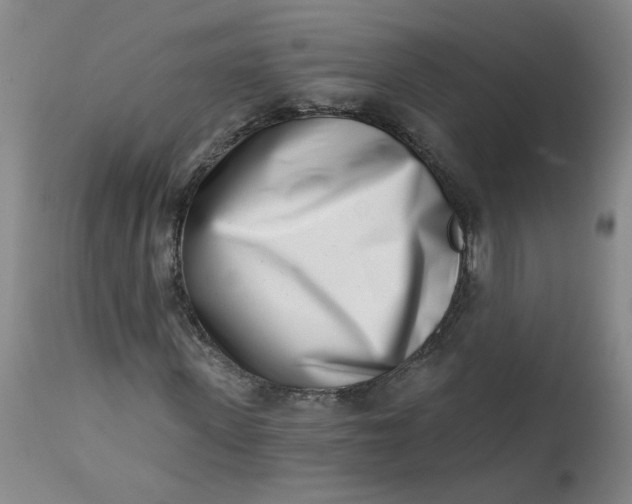 X0000113200915200910011252