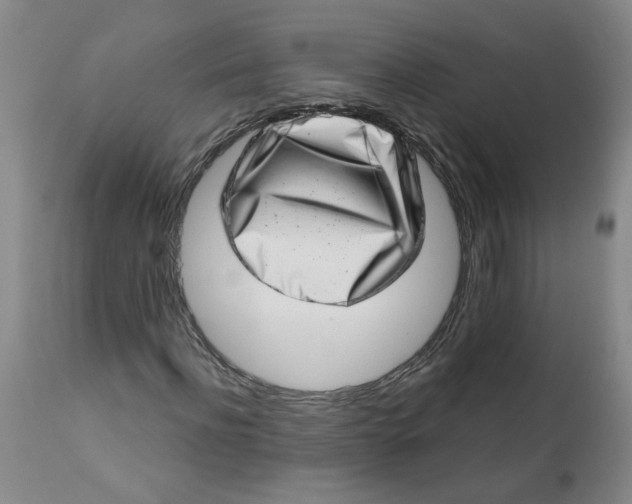 X0000113200916200910011252