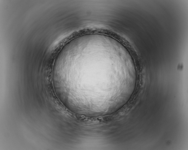 X0000113200919200910011252