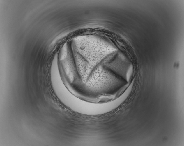 X0000113200920200910011252