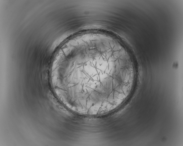 X0000113200921200910011252