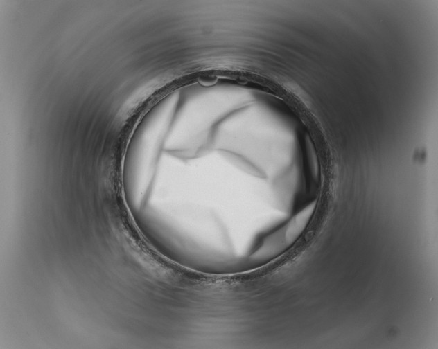 X0000113200922200910011252