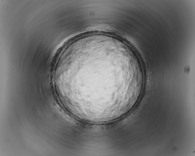 X0000113200923200910011252