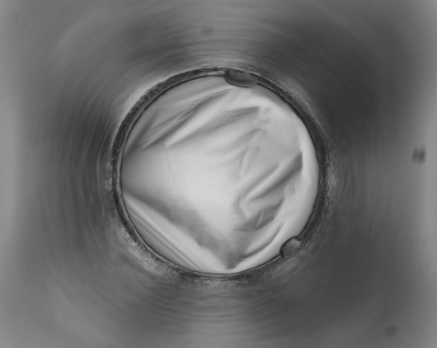 X0000113200924200910011252