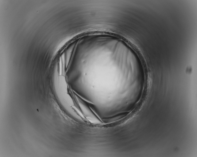 X0000113200925200910011252