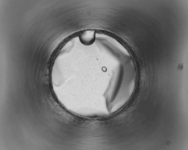 X0000113200926200910011252