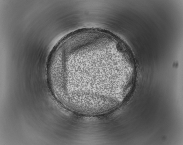 X0000113200927200910011252