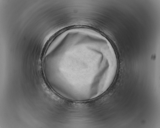 X0000113200928200910011252