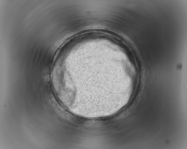 X0000113200929200910011252