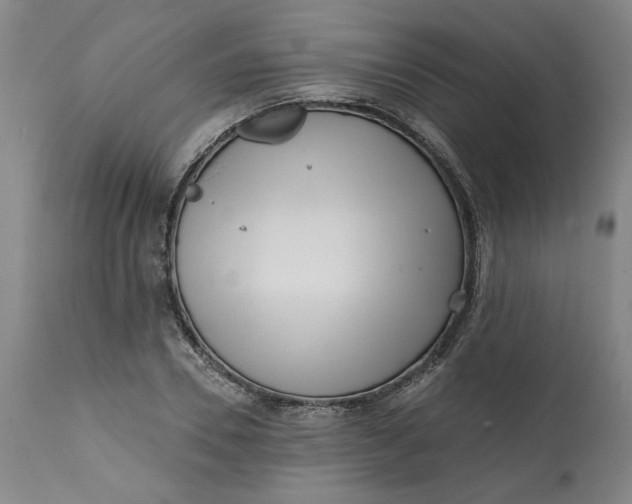 X0000113200930200910011252