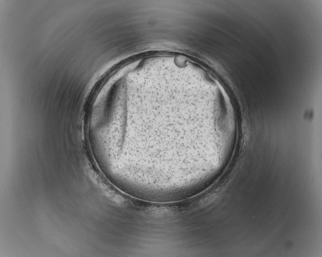 X0000113200931200910011252