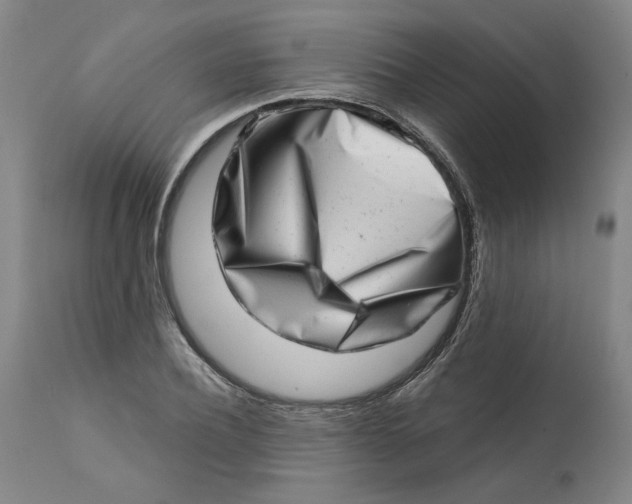 X0000113200932200910011252