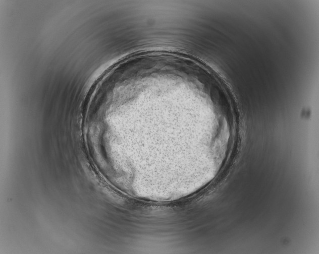 X0000113200933200910011252