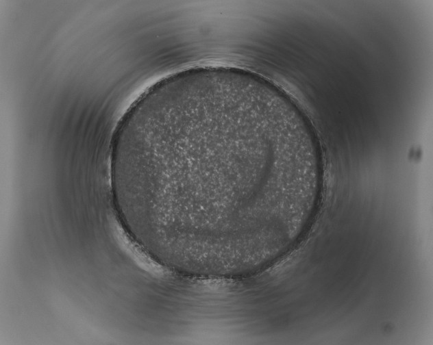 X0000113200934200910011252