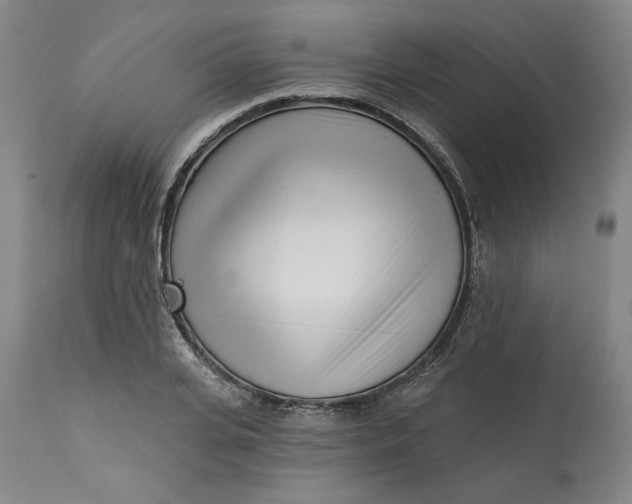 X0000113200935200910011252