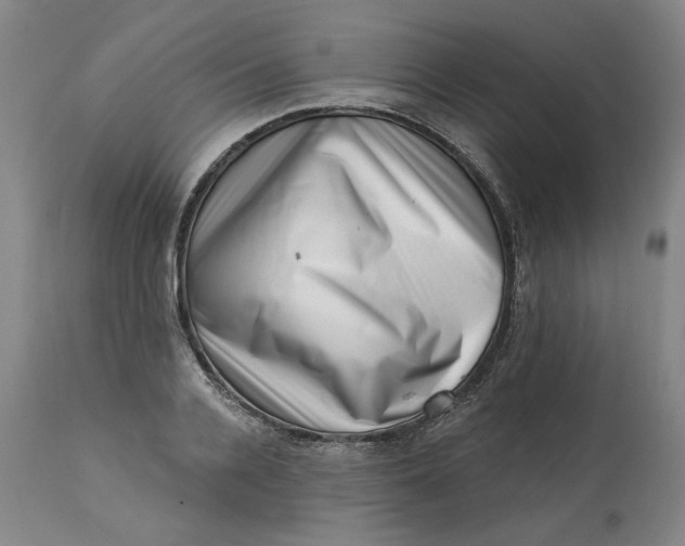 X0000113200936200910011252