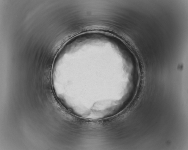 X0000113200937200910011252