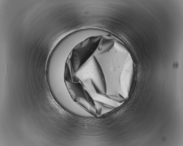 X0000113200940200910011252