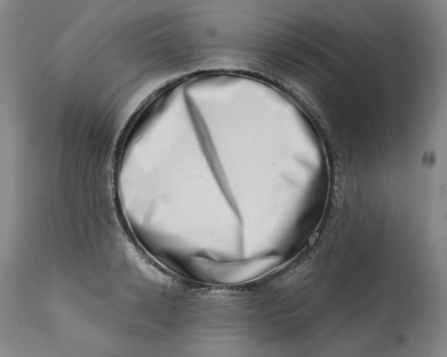 X0000113200942200910011253