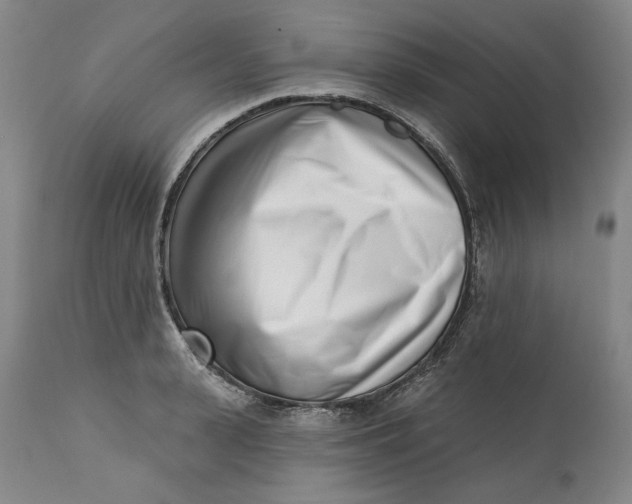 X0000113200943200910011253