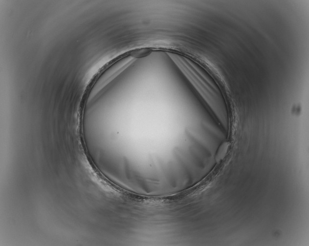 X0000113200944200910011253