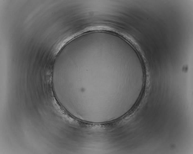 X0000113200945200910011253