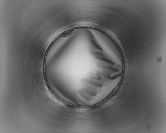 X0000113200946200910011253