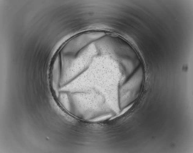 X0000113200947200910011253