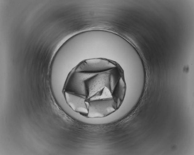 X0000113200948200910011253