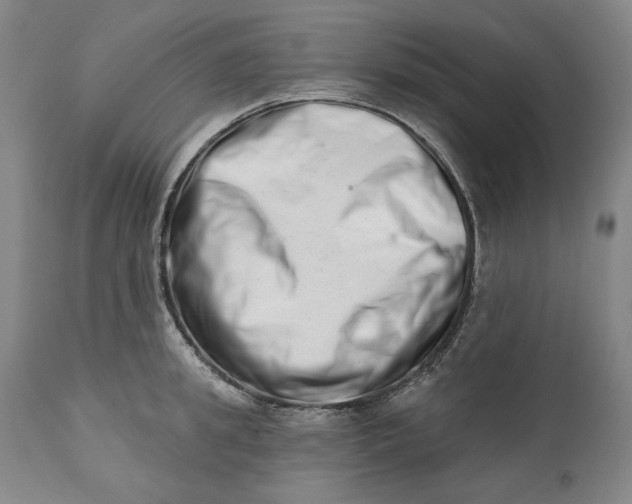 X0000113200949200910011253