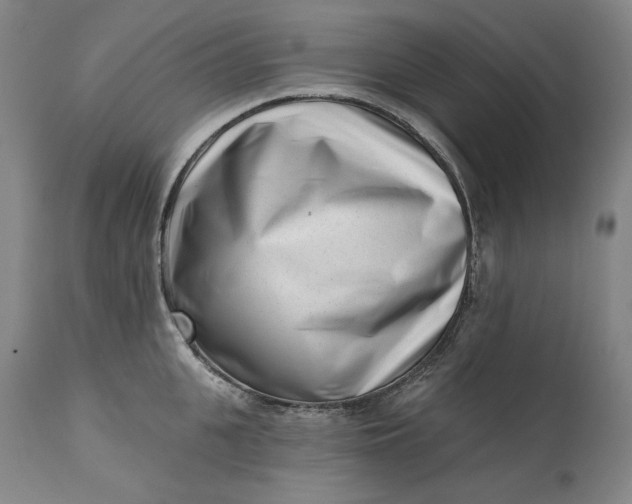 X0000113200951200910011253