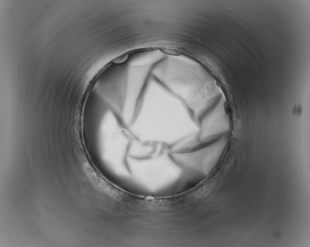 X0000113200952200910011253