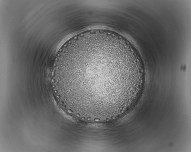 X0000113200953200910011253