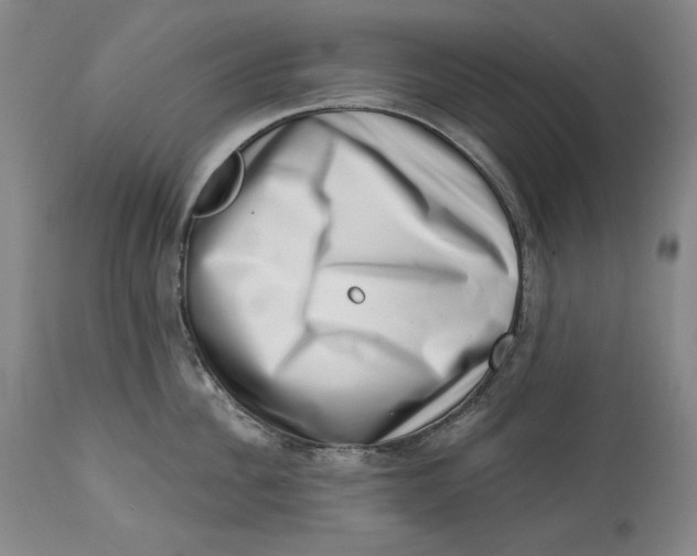 X0000113200956200910011253