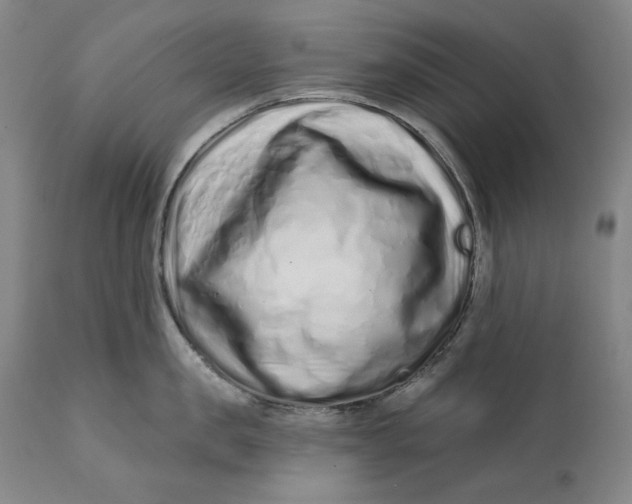 X0000113200957200910011253